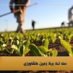 سند تک برگ زمین کشاورزی