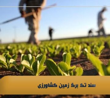 سند تک برگ زمین کشاورزی